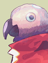 ヨウム
