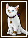 虹彩異色症の猫