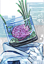 ビオト